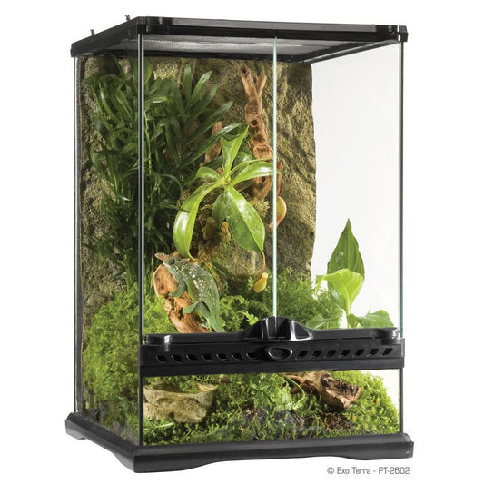 Exo Terra Terrarium Mini/Tall 30x30x45cm image 0