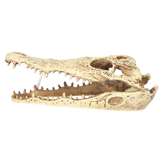 ProRep Crocodile Skull