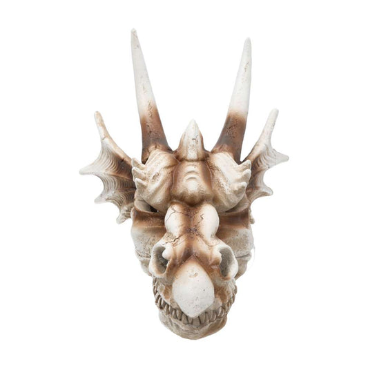 ProRep Dragon Skull Large