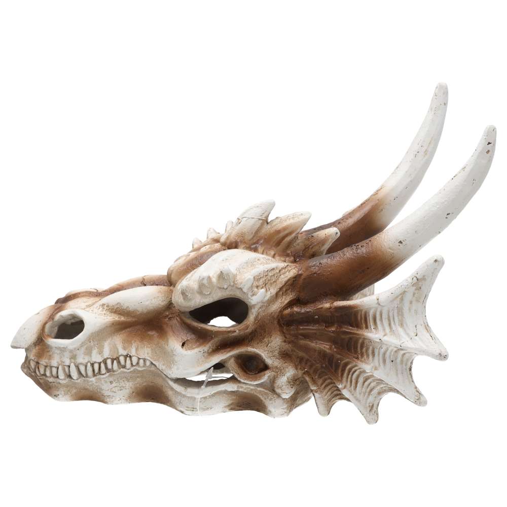 ProRep Dragon Skull Large