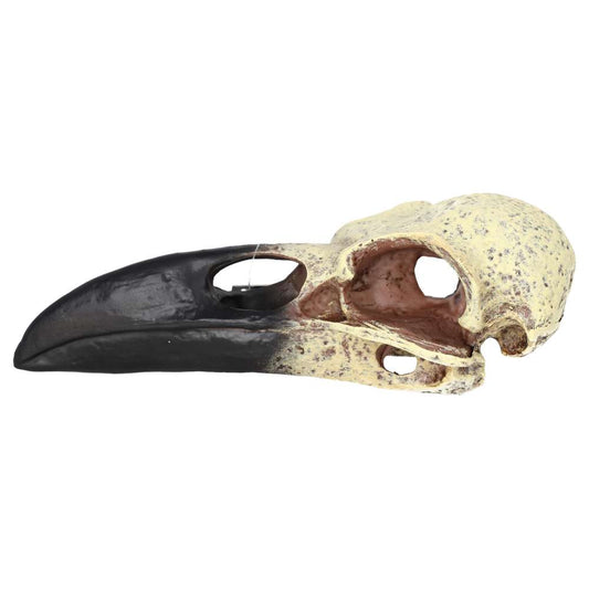 ProRep Corvid Skull