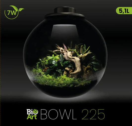 BioArt Bowl Terrarium 225mm