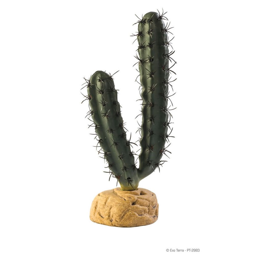 Exo Terra Finger Cactus