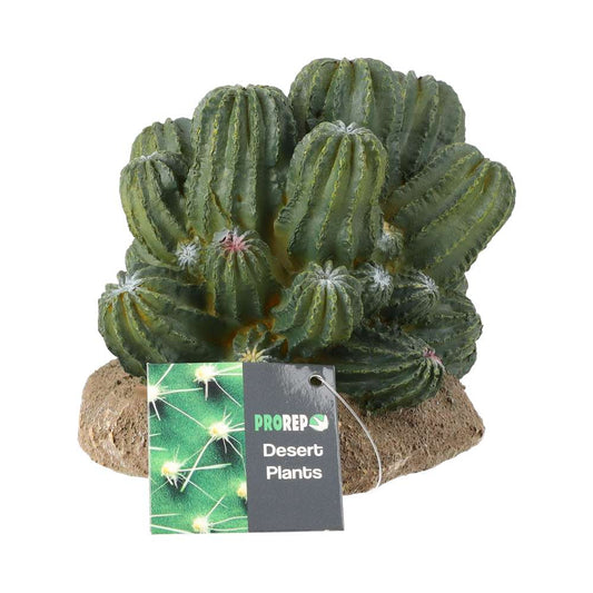 ProRep Cactus Cluster