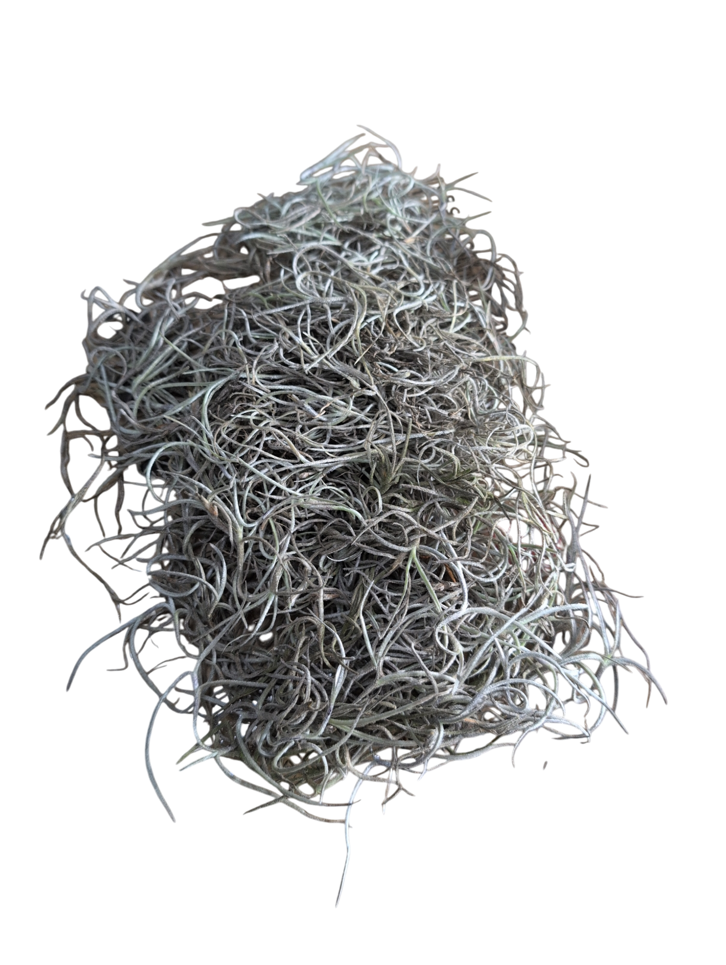 Bio Herp Spanish Moss Pre Pack