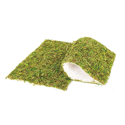 Repti Zoo Natural Moss Mat, 30x20cm, Pack of 2