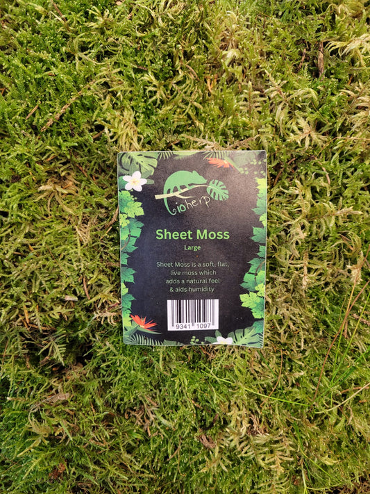 BioHerp Sheet Moss