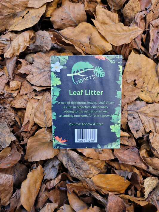 BioHerp Leaf Litter 4 litres