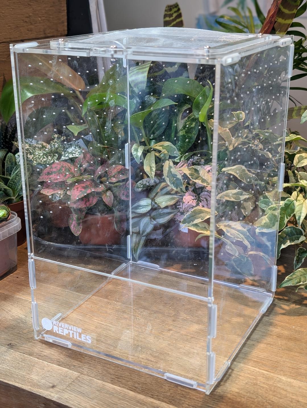 Acrylic Enclosure Mesh Lid 20x20x30cm Front Opening Riverview Reptiles