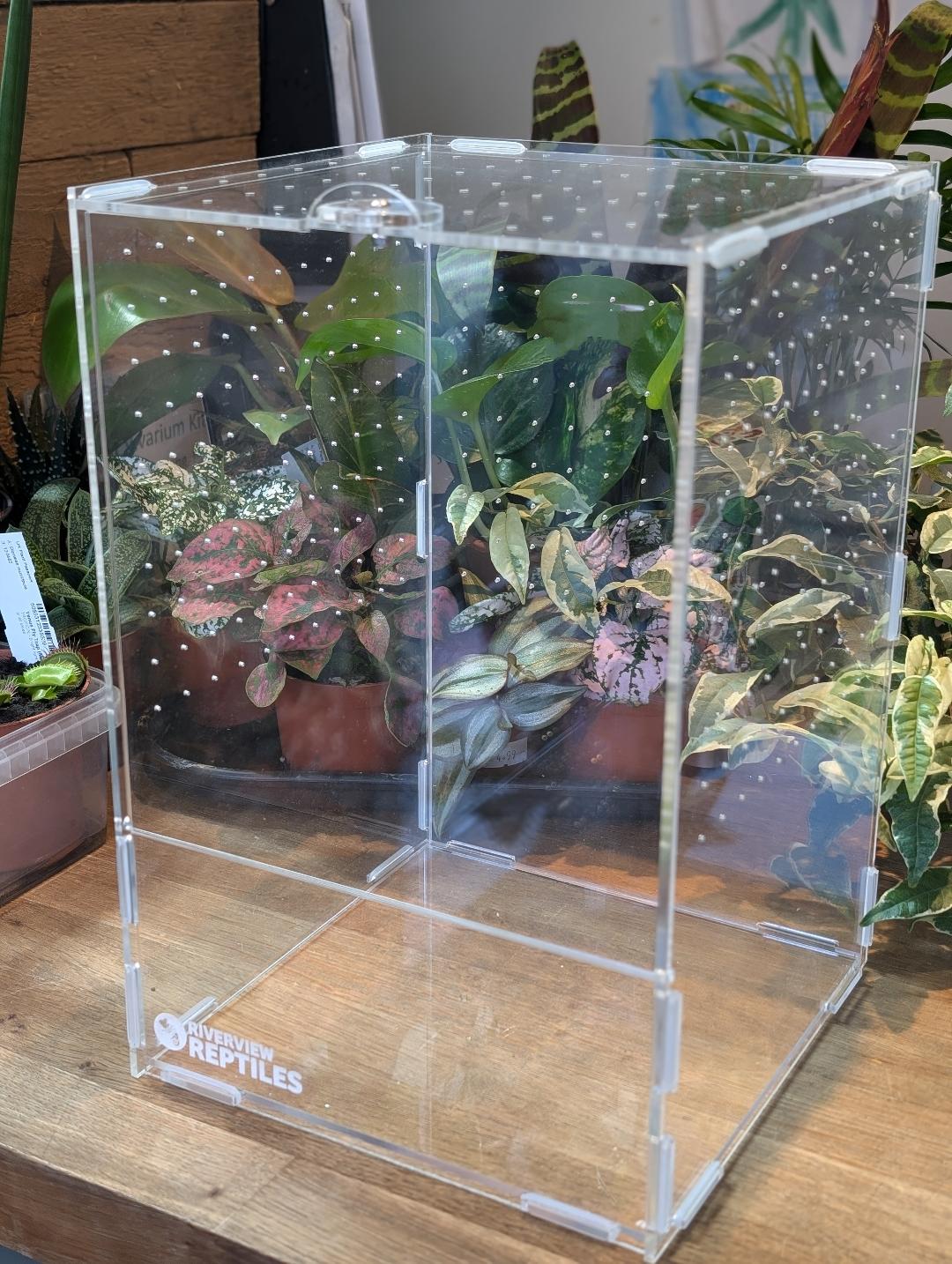 Acrylic Enclosure Solid Lid 20x20x30cm Front Opening Riverview Reptiles