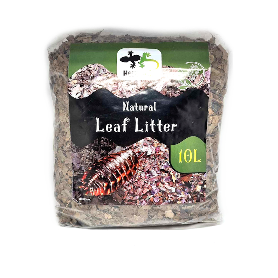 HerpXotics Natural Leaf Litter