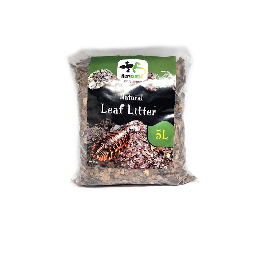 HerpXotics Natural Leaf Litter